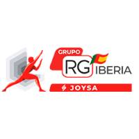Joysa